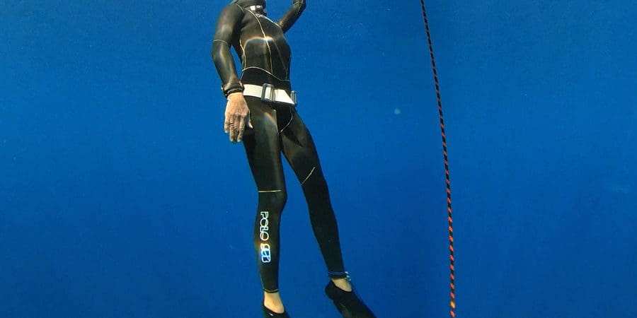 alchemy fins freediving alchemy fins freediving