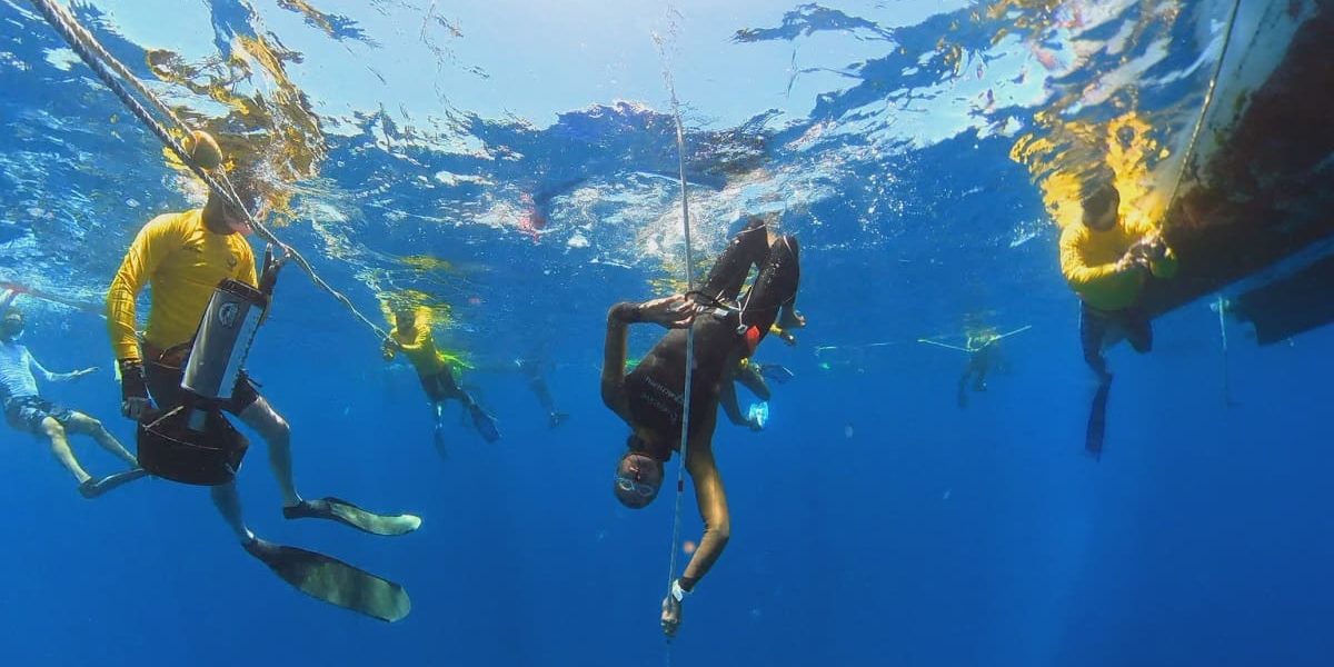 caribbean cup freediving