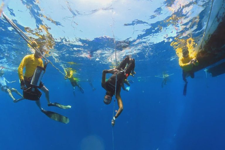 caribbean cup freediving